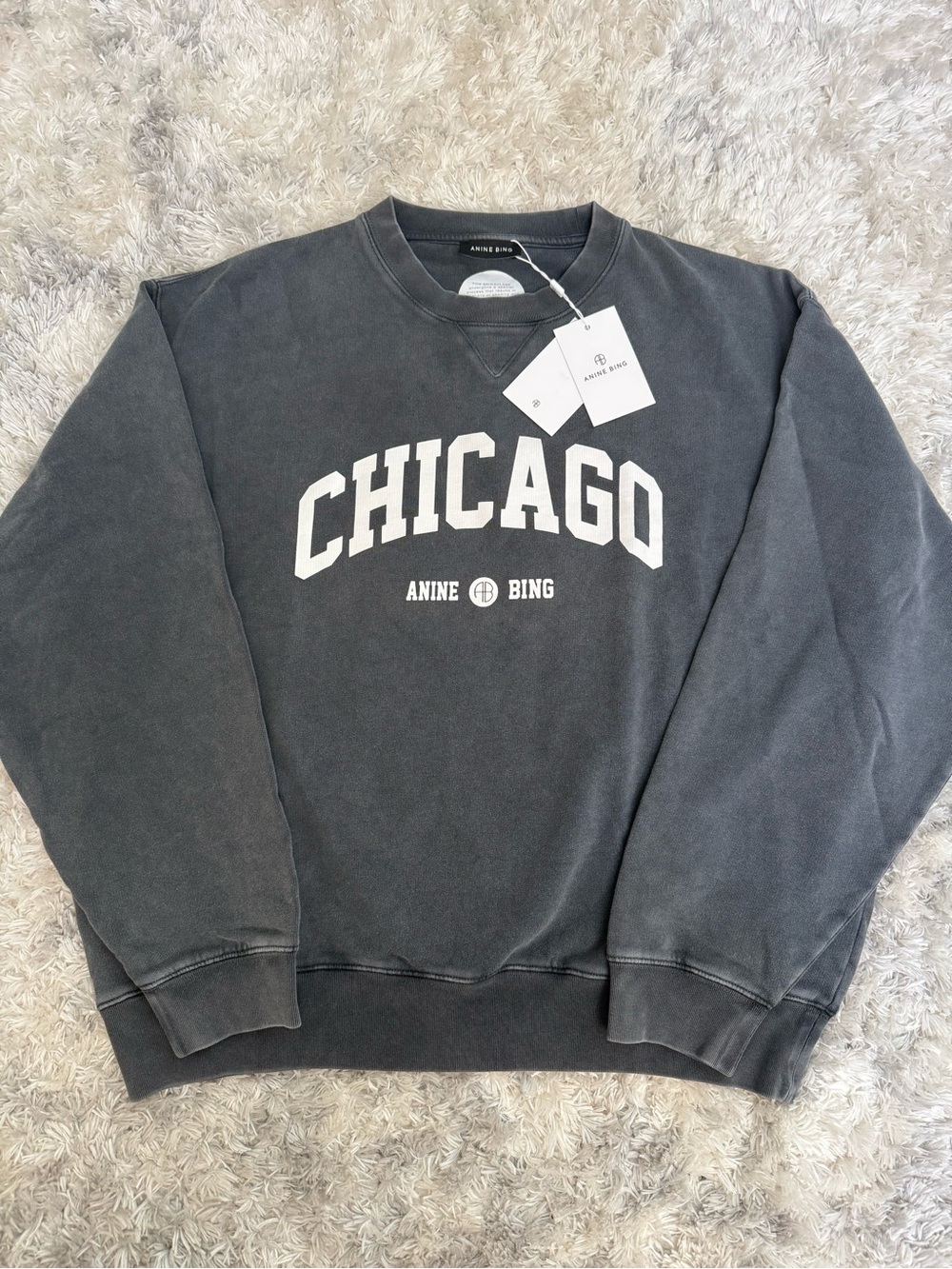 NWT Anine Bing Womens Sweatshirt University Chicago Washed Black Sz XL - Picture 2 of 11